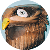 Portrait of artist BirdO